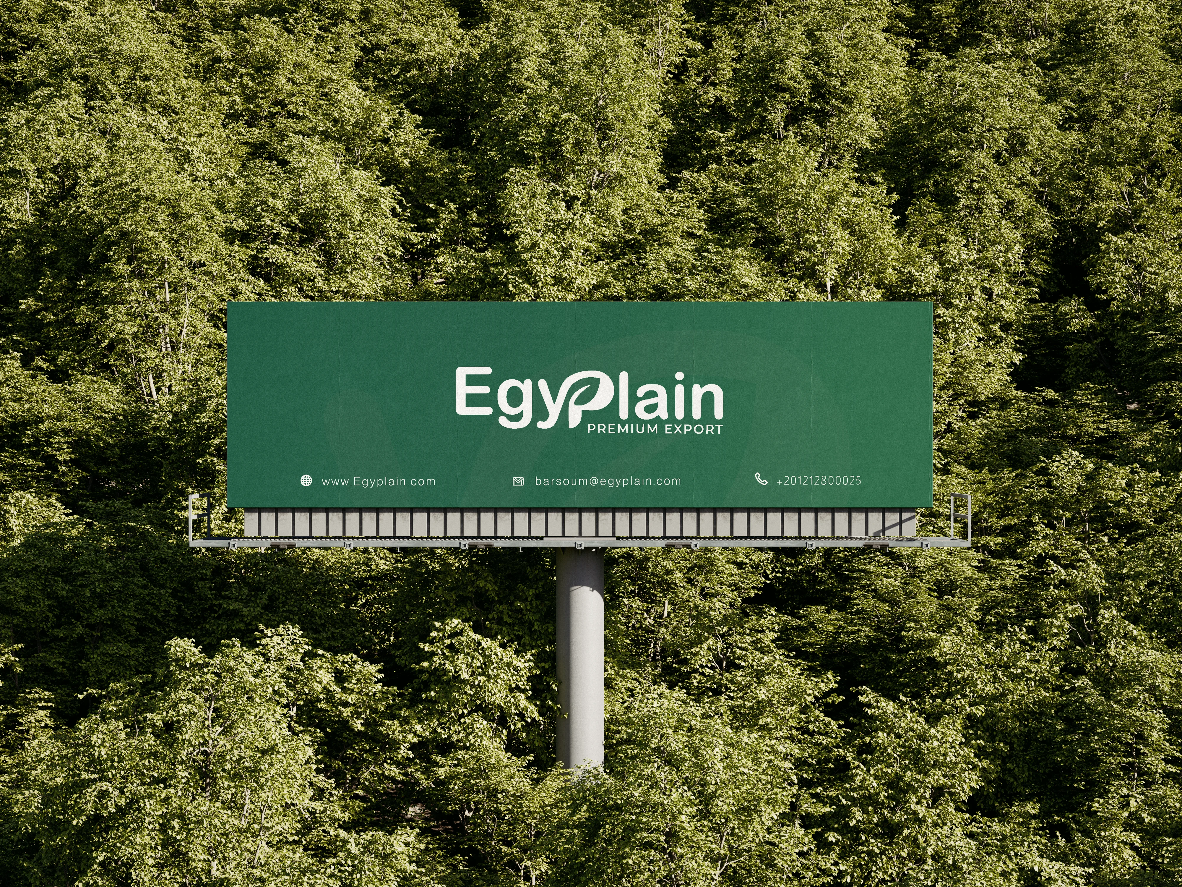 Egyplain — Building a Brand from the Name Up — creative work 6