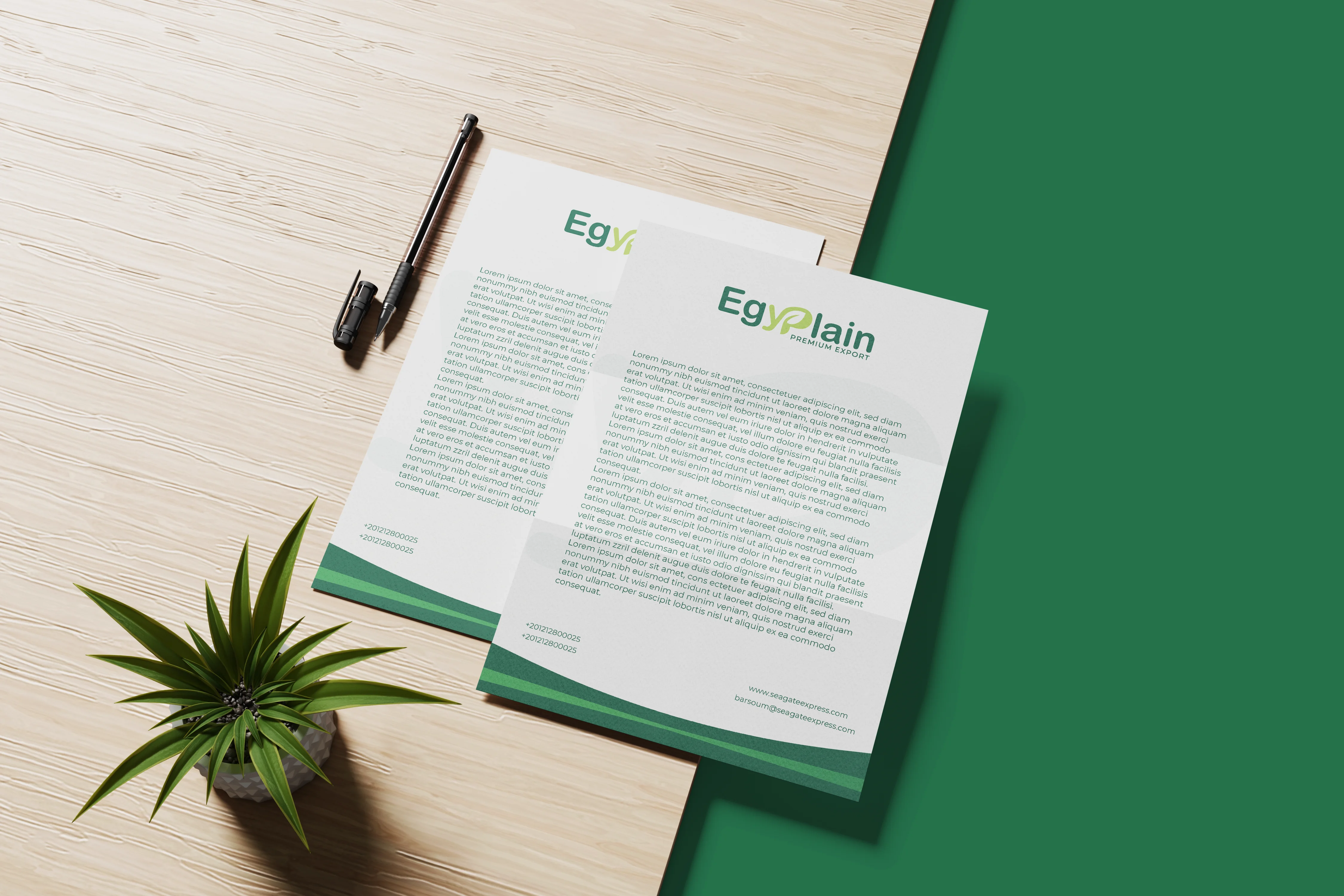 Egyplain — Building a Brand from the Name Up — creative work 7