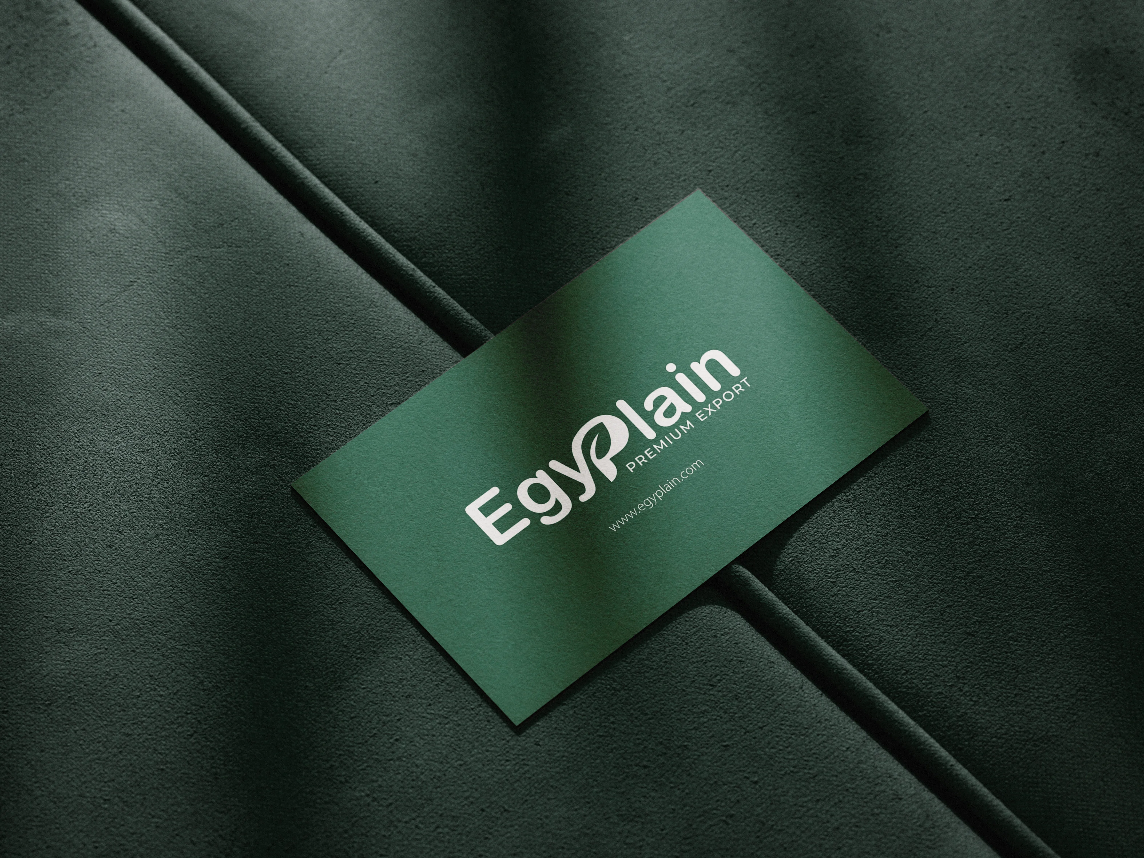 Egyplain — Building a Brand from the Name Up — CHALLENGE