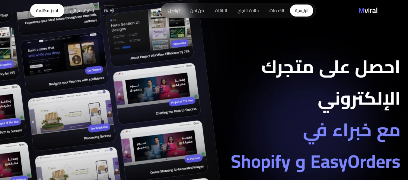 Mviral — Building Stores Built to Sell — digital strategy