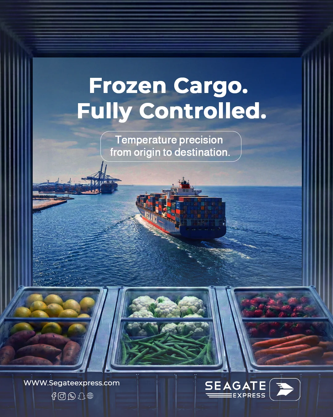 SEAGATE EXPRESS — Logistics with Visibility — creative work 1